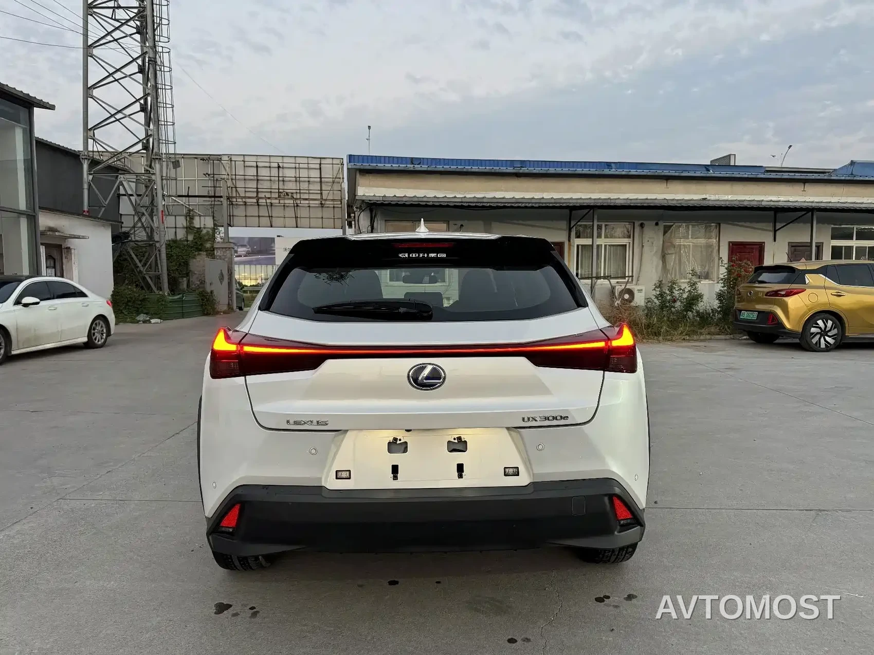 Lexus UX Electric 2020 300e Pure Enjoyment Edition — фото 10