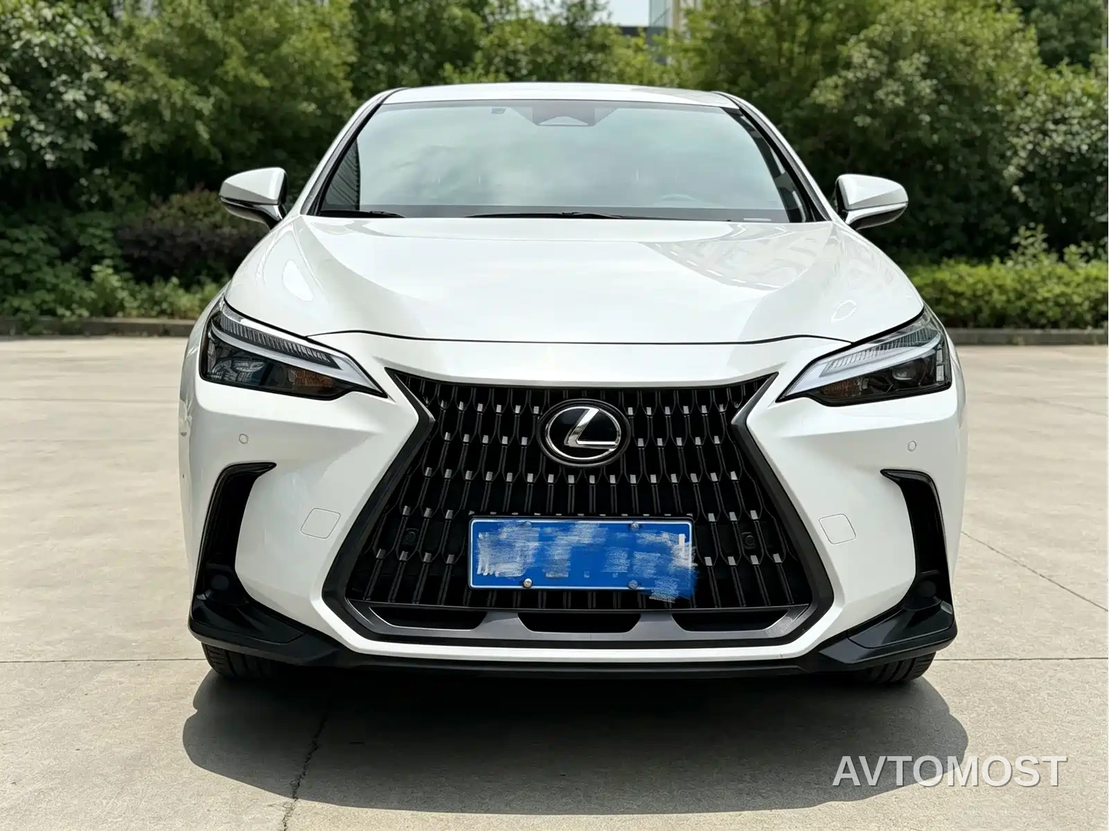 Lexus NX 2022 260 FWD Innovation Edition — фото 2