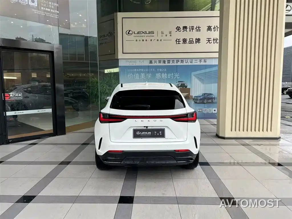 Lexus NX New Energy 2022 400h+ Joy Edition — фото 2