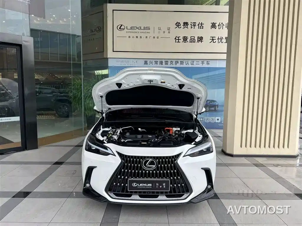 Lexus NX New Energy 2022 400h+ Joy Edition — фото 3
