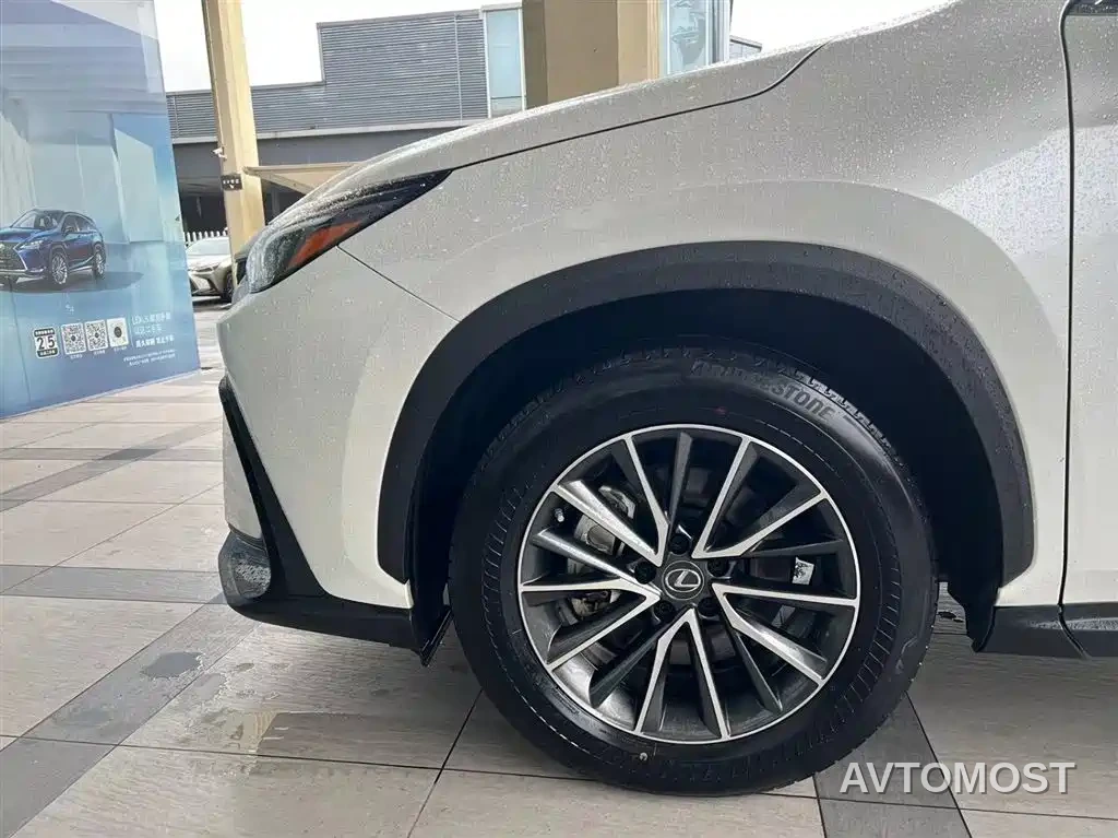 Lexus NX New Energy 2022 400h+ Joy Edition — фото 4