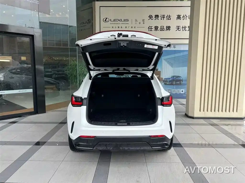 Lexus NX New Energy 2022 400h+ Joy Edition — фото 6