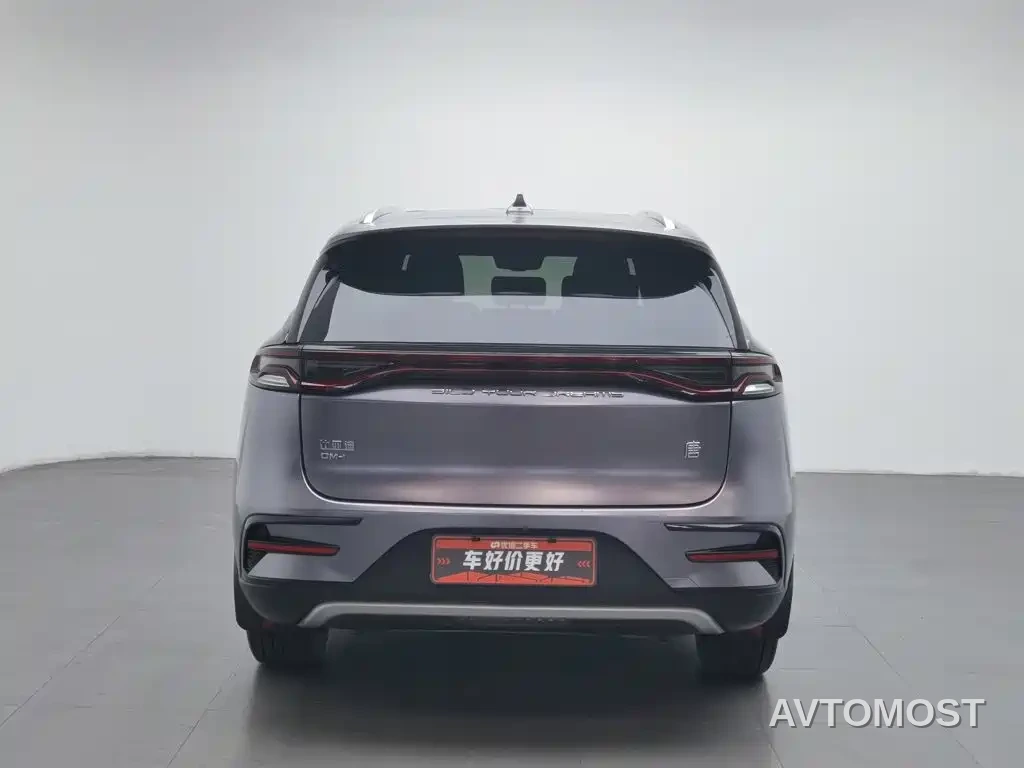 BYD Tang New Energy 2021 DM-i 112KM Honor — фото 3