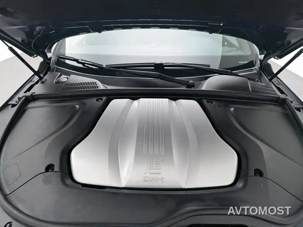 BYD Tang New Energy 2021 DM-i 112KM Honor — фото 5