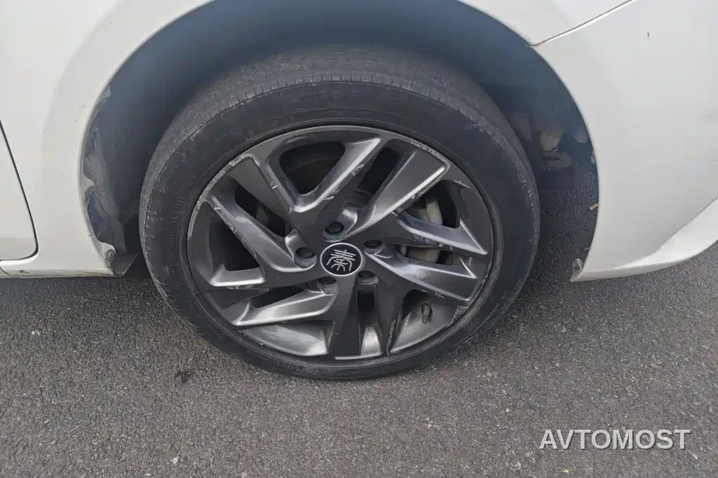 BYD Qin New Energy 2019 Long Range Luxury Edition — фото 6