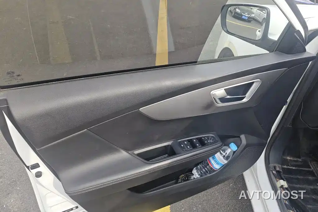 BYD Qin New Energy 2019 Long Range Luxury Edition — фото 7