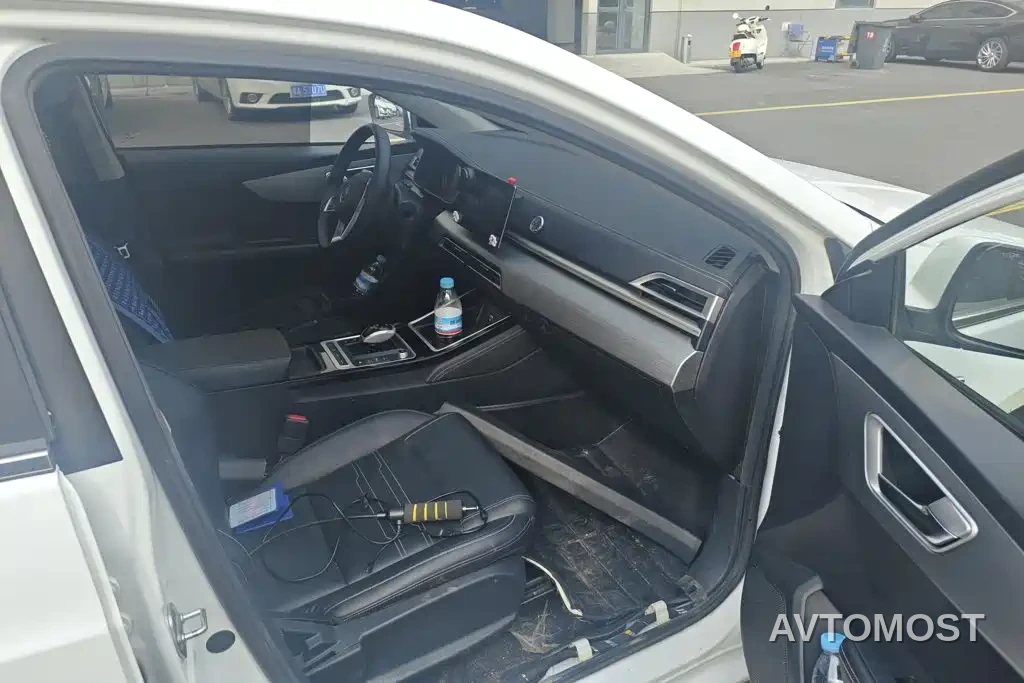 BYD Qin New Energy 2019 Long Range Luxury Edition — фото 8