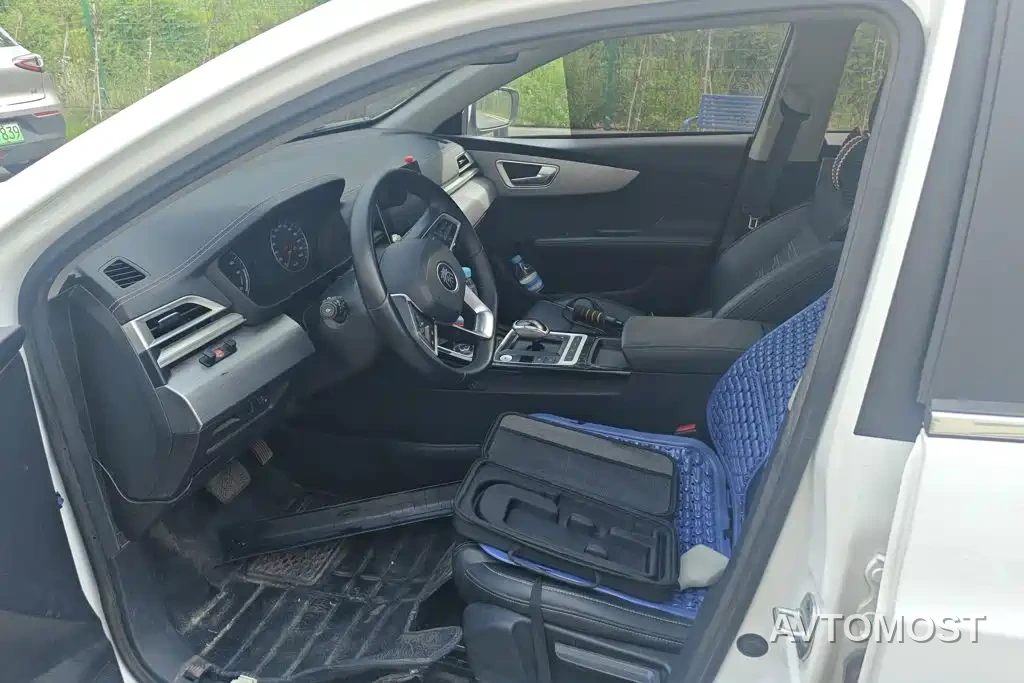 BYD Qin New Energy 2019 Long Range Luxury Edition — фото 9