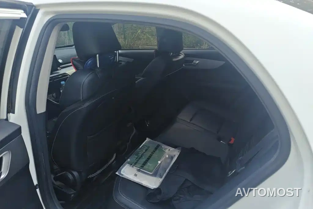BYD Qin New Energy 2019 Long Range Luxury Edition — фото 11