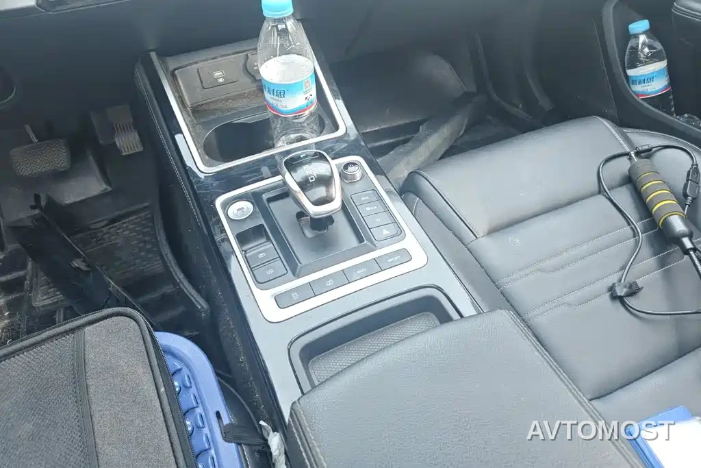 BYD Qin New Energy 2019 Long Range Luxury Edition — фото 16