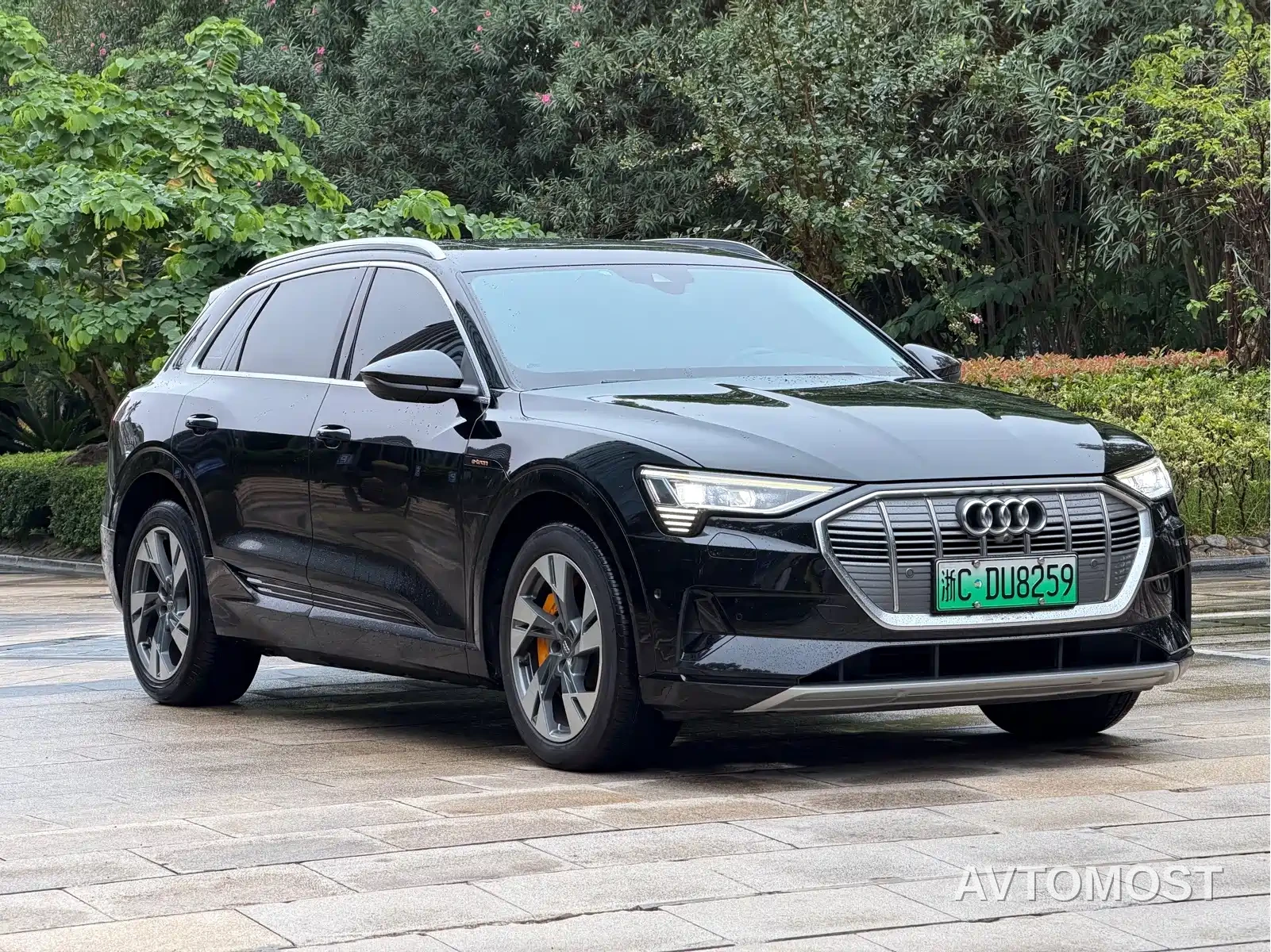 Audi e-tron (Import) 2019 55 quattro Technology — фото 3