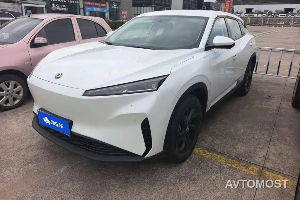 Dongfeng Aeolus SKY EV01 2023 Model 445km PRO — фото 1