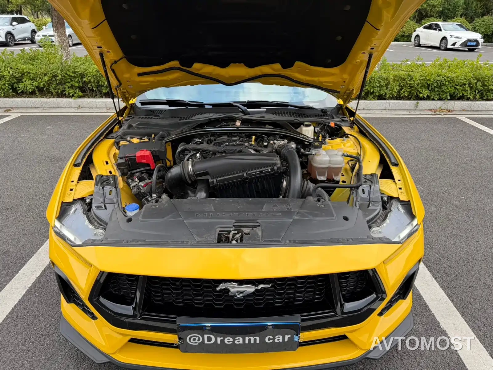 Ford Mustang 2024 2.3T EcoBoost Convertible Sport Edition — фото 23