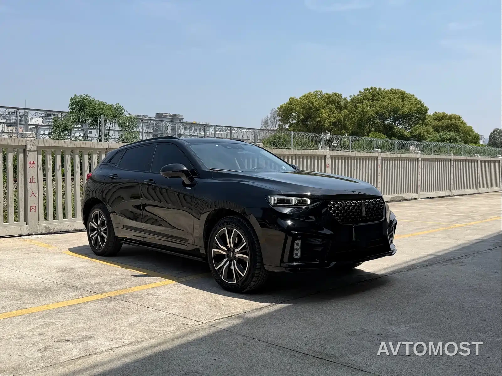 Wey VV7 New Energy 2020 PHEV 2.0T Flagship Model — фото 3