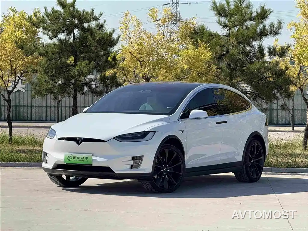 Tesla Model X 2020 Long Range Upgrade — фото 1