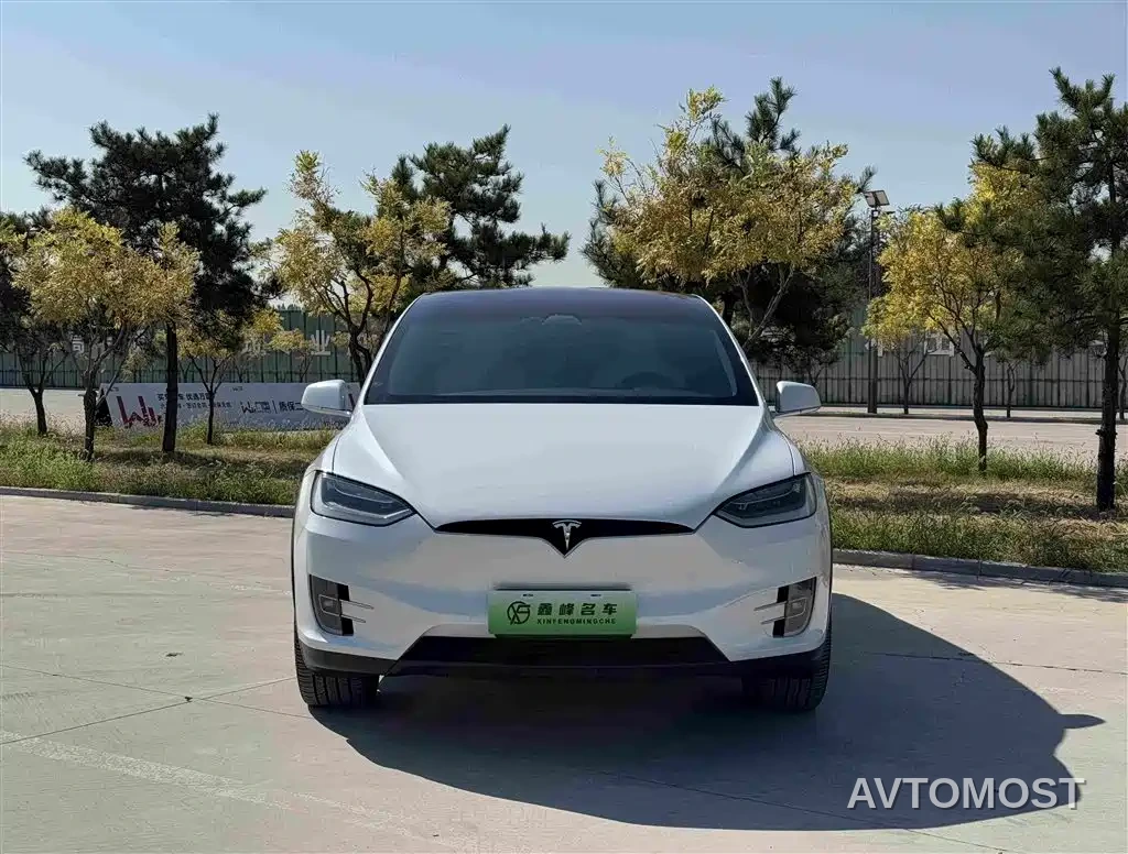 Tesla Model X 2020 Long Range Upgrade — фото 2